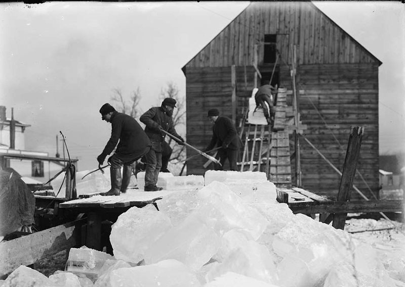 The Ice Harvest of Rathmor